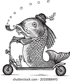 A fish rides a scooter, vector illustration. Drawing with an ink pen and pencil. Collection of fish.