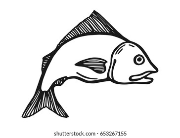 Fish river. Vector vintage sketch