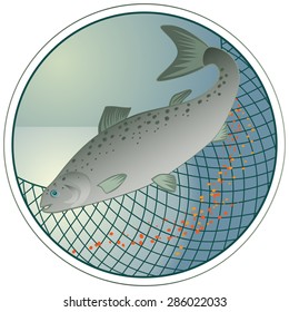 Fish salmon with caviar. Labels for the fishing industry, menus, banners, brochures, advertising shop. Vector illustration