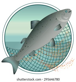 Fish salmon with caviar. Labels for the fishing industry, menus, banners, brochures, advertising shop. 