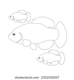 fish, salmon clip art vector illustration