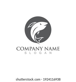Fish salmon logo template. Creative vector symbol