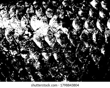 Fish scales texture. Scales background.Grunge texture. Grunge black and white vector overlay. Grungy grainy surface.
