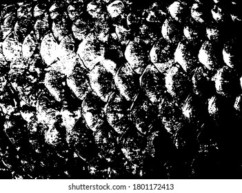Fish scales texture. Scales background.Grunge texture. Grunge black and white vector overlay. Grungy grainy surface.
