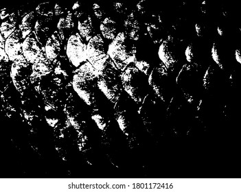 Fish scales texture. Scales background.Grunge texture. Grunge black and white vector overlay. Grungy grainy surface.
