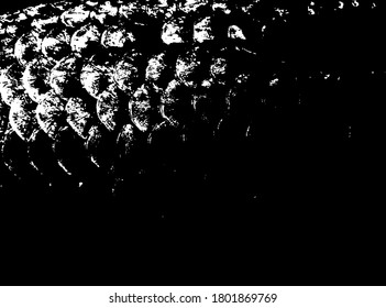 Los peces esbalan la textura. Escala el fondo.Grunge textura. Sobreposición vectorial en blanco y negro. Superficie gruesa de grano.