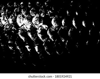 Fish scales texture. Scales background.Grunge texture. Grunge black and white vector overlay. Grungy grainy surface.