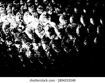 Fish scales texture. Scales background.Grunge texture. Grunge black and white vector overlay. Grungy grainy surface.