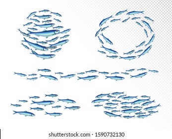 Fish school colonies realistic set with fast moving wedge shape feeding shoals circulair transparent background vector illustration        