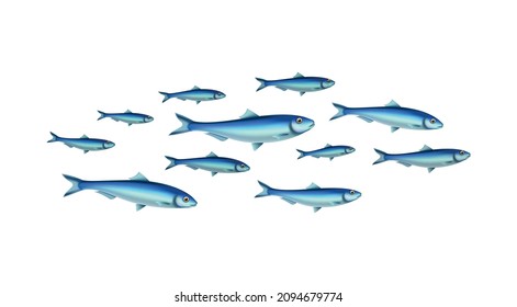 Composición realista de la colonia escolar de peces con imágenes aisladas de peces en el fondo de la muestra transparente del vector