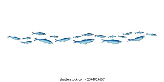 Fish school colony realistic composition with isolated images of fishes in shoal on transparent background vector illustration