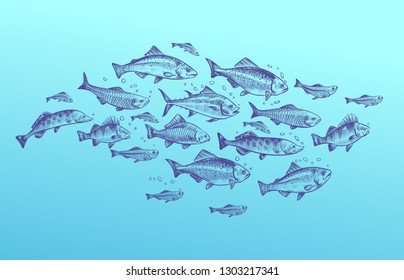 Fish school. Fishes group hand drawn sketch. Restaurant delicacy seafood menu dorado mackerel tuna fresh food fishing vector design