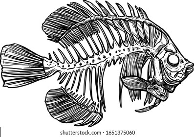 diseño de arte de impresión de pantallas de pescado