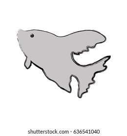 Fish sea animal