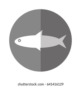 Fish sea animal