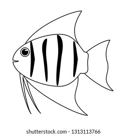 Fish sea animal cartoon in black and white