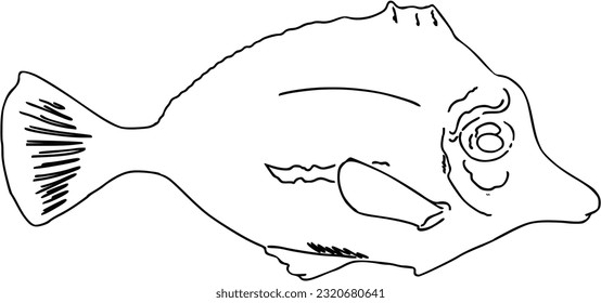 Fish sea animal that swims in the water doodle linear cartoon coloring