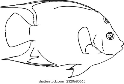 Fish sea animal that swims in the water doodle linear cartoon coloring
