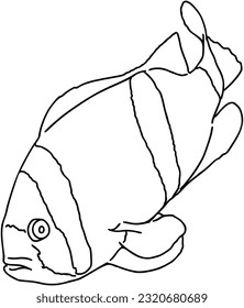 Fish sea animal that swims in the water doodle linear cartoon coloring