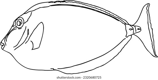 Fish sea animal that swims in the water doodle linear cartoon coloring