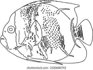 Fish sea animal that swims in the water doodle linear cartoon coloring