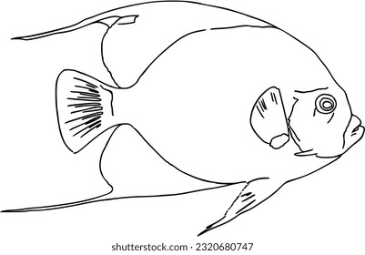 Fish sea animal that swims in the water doodle linear cartoon coloring