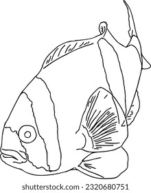 Fish sea animal that swims in the water doodle linear cartoon coloring
