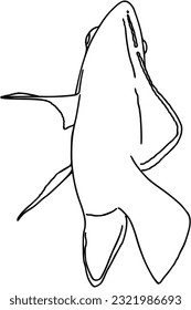 Fish sea animal that swims in the water doodle linear cartoon coloring