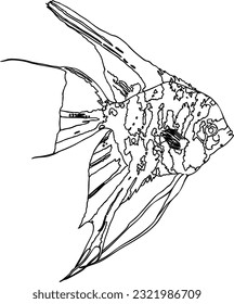 Fish sea animal that swims in the water doodle linear cartoon coloring