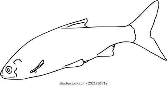 Fish sea animal that swims in the water doodle linear cartoon coloring