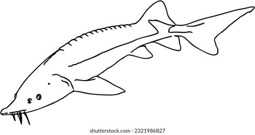 Fish sea animal that swims in the water doodle linear cartoon coloring
