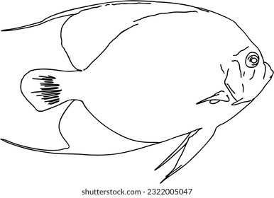 Fish sea animal that swims in the water doodle linear cartoon coloring