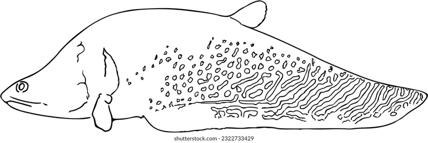 Fish sea animal that swims in the water doodle linear cartoon coloring