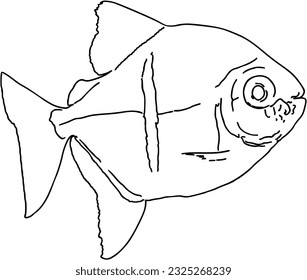 Fish sea animal that swims in the water doodle linear cartoon coloring