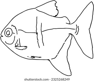 Fish sea animal that swims in the water doodle linear cartoon coloring