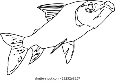 Fish sea animal that swims in the water doodle linear cartoon coloring