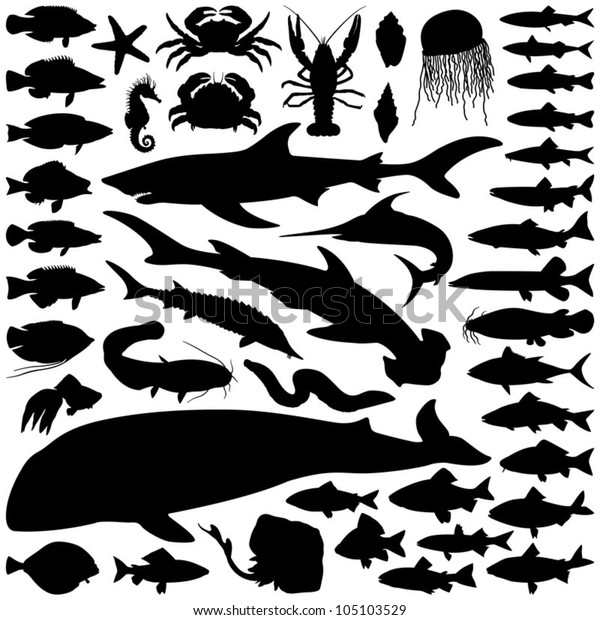 魚と海の動物コレクション ベクター画像シルエット のベクター画像素材 ロイヤリティフリー