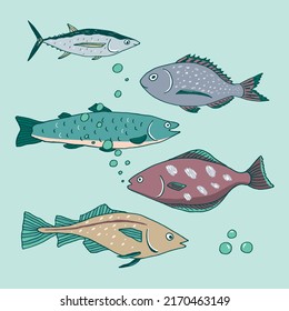 Fish sea food vector illustrations set