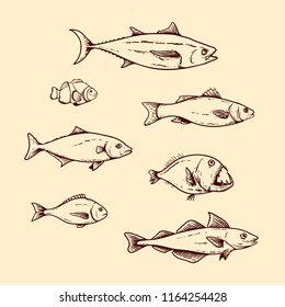 fish sea line art han drawn