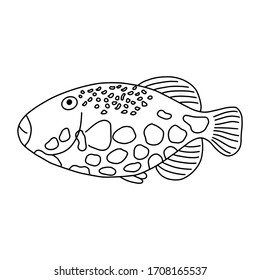 The fish of the sea or river.Coloring pages for adults or children.Black and white image.Doodle coloring book.Vector illustration