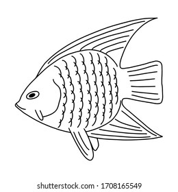 Fish Vector Drawing Coloring Books Illustrations Stock Vector (Royalty ...