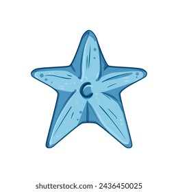 fish sea star cartoon. shell evening, beach logo, outline coral fish sea star sign. isolated symbol vector illustration