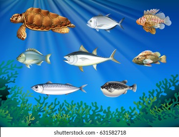 Fish and sea turtle under the sea illustration