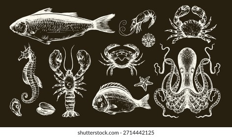Fish sea vector isolated illustration with crab octopus seahorse shrimp lobster and starfish.