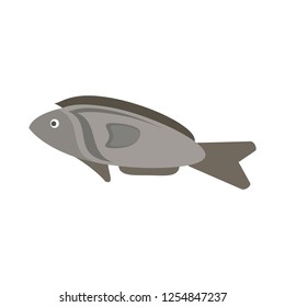 fish seafood cartoon