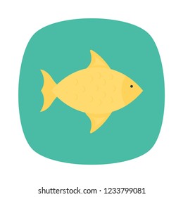Fish  seafood, food.