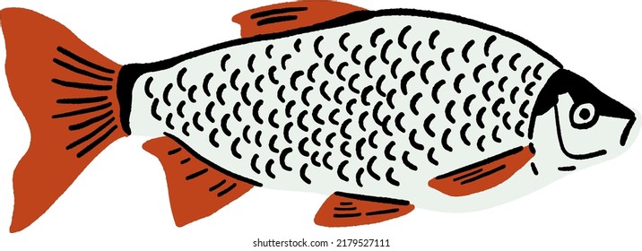 Fish Seafood Fresh market Hand drawn Colour Illustration