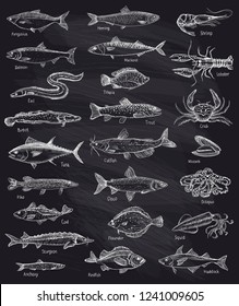 Fish and seafood mega set, hand drawn illustration against chalkboard backdrop