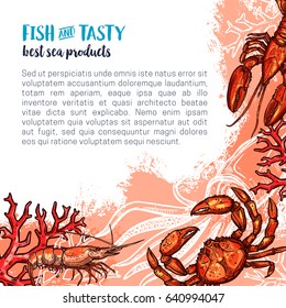 Fish and seafood product sketch poster of atlantic ocean crab, shrimp, lobster and squid. Sea animals swimming among seaweed and coral banner for fish market, seafood restaurant menu, fishing design