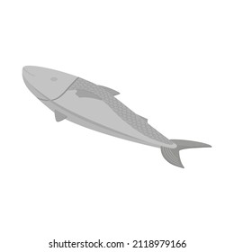 Fish, seafood, salmon, tuna - Isometric vector illustration in flat design. 